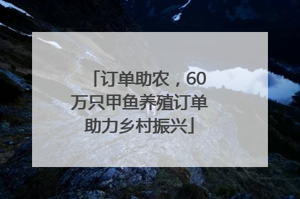 订单助农，60万只甲鱼养殖订单助力乡村振兴