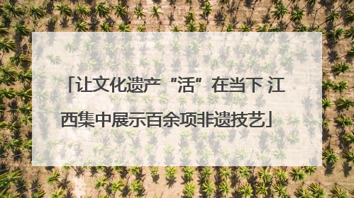 让文化遗产“活”在当下 江西集中展示百余项非遗技艺