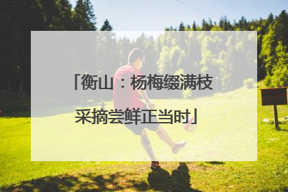 衡山：杨梅缀满枝 采摘尝鲜正当时