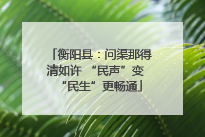 衡阳县：问渠那得清如许 “民声”变“民生”更畅通