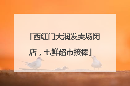西红门大润发卖场闭店，七鲜超市接棒