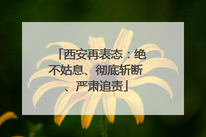西安再表态：绝不姑息、彻底斩断、严肃追责