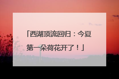西湖顶流回归：今夏第一朵荷花开了！