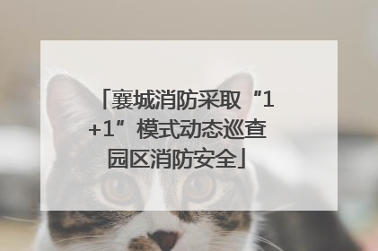襄城消防采取“1+1”模式动态巡查园区消防安全