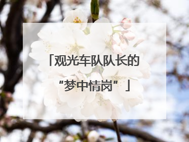 观光车队队长的“梦中情岗”