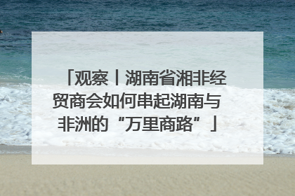 观察丨湖南省湘非经贸商会如何串起湖南与非洲的“万里商路”