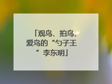 观鸟、拍鸟、爱鸟的“勺子王”李东明