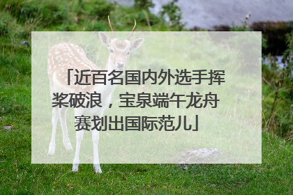 近百名国内外选手挥桨破浪，宝泉端午龙舟赛划出国际范儿