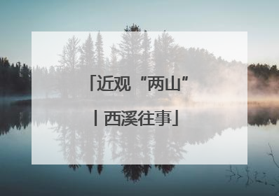 近观“两山”丨西溪往事
