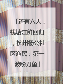 还有六天，钱塘江鲜回归，杭州杨公社区渔民：第一波盼刀鱼