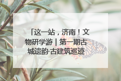 这一站，济南！文物研学游｜第一期古城遗韵·古建筑巡迹之旅圆满结束