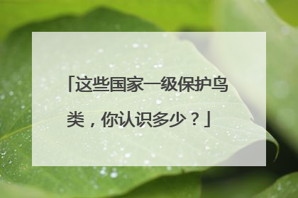 这些国家一级保护鸟类，你认识多少？
