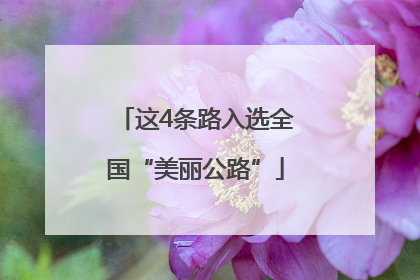 这4条路入选全国“美丽公路”