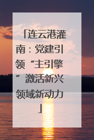 连云港灌南：党建引领“主引擎”激活新兴领域新动力