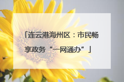 连云港海州区：市民畅享政务“一网通办”