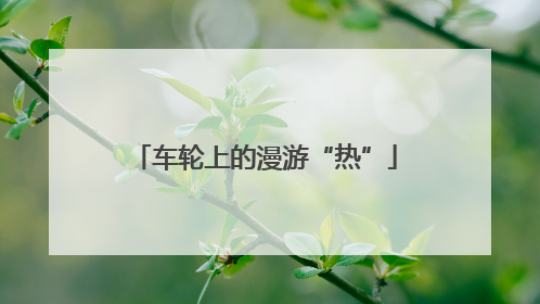 车轮上的漫游“热”