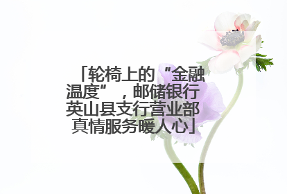 轮椅上的“金融温度”，邮储银行英山县支行营业部真情服务暖人心