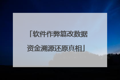 软件作弊篡改数据 资金溯源还原真相