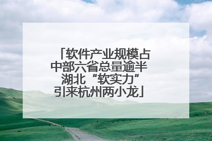 软件产业规模占中部六省总量逾半 湖北“软实力”引来杭州两小龙