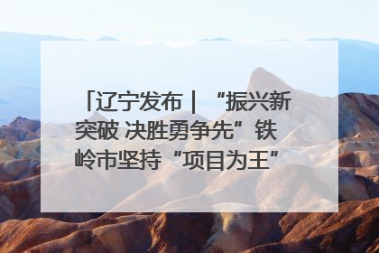 辽宁发布｜“振兴新突破 决胜勇争先”铁岭市坚持“项目为王”推进经济高质量发展