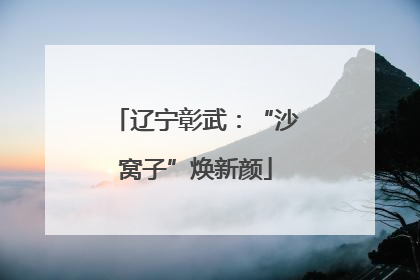 辽宁彰武：“沙窝子”焕新颜