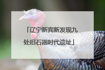 辽宁新宾新发现九处旧石器时代遗址