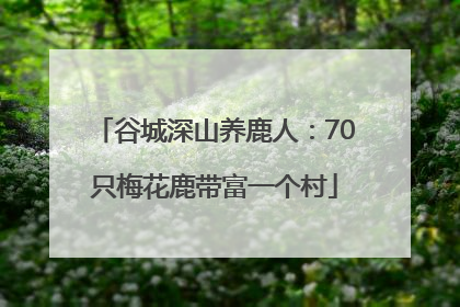 谷城深山养鹿人：70只梅花鹿带富一个村