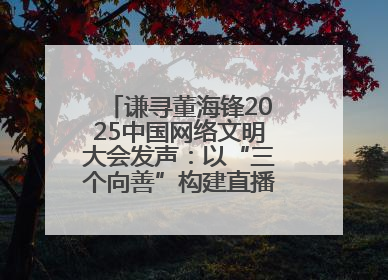 谦寻董海锋2025中国网络文明大会发声：以“三个向善”构建直播电商善意长河