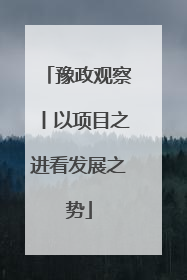 豫政观察丨以项目之进看发展之势