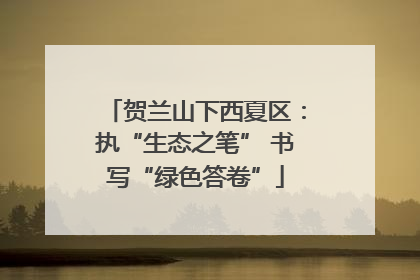 贺兰山下西夏区：执“生态之笔” 书写“绿色答卷”