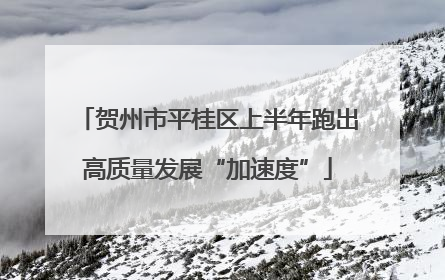 贺州市平桂区上半年跑出高质量发展“加速度”
