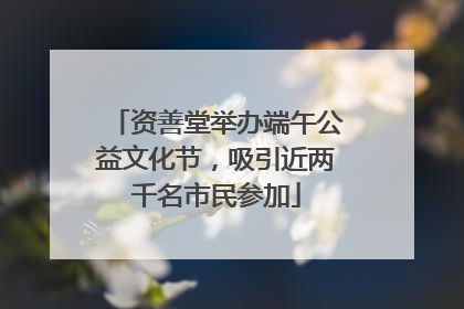 资善堂举办端午公益文化节，吸引近两千名市民参加