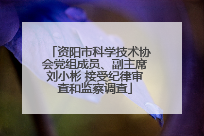 资阳市科学技术协会党组成员、副主席刘小彬 接受纪律审查和监察调查