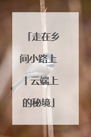 走在乡间小路上丨云端上的秘境