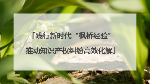 践行新时代“枫桥经验” 推动知识产权纠纷高效化解