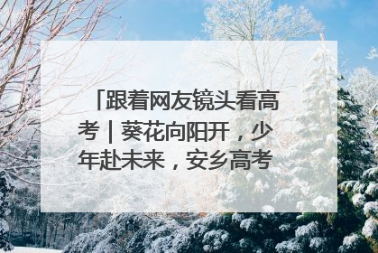 跟着网友镜头看高考｜葵花向阳开，少年赴未来，安乡高考首日的希望图景