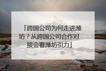跨国公司为何走进潍坊？从跨国公司合作对接会看潍坊引力