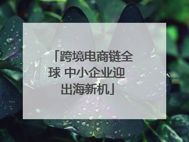 跨境电商链全球 中小企业迎出海新机