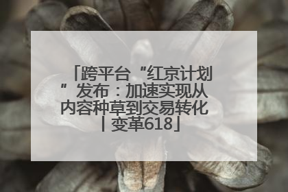跨平台“红京计划”发布：加速实现从内容种草到交易转化丨变革618