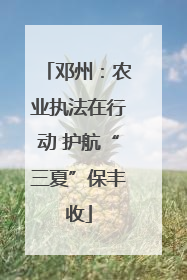 邓州：农业执法在行动 护航“三夏”保丰收