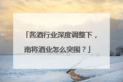 酱酒行业深度调整下，南将酒业怎么突围？