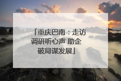 重庆巴南：走访调研听心声 助企破局谋发展