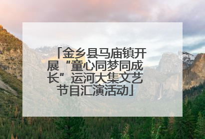 金乡县马庙镇开展“童心同梦同成长”运河大集文艺节目汇演活动