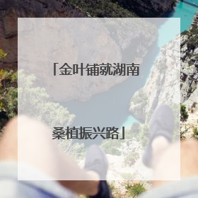 金叶铺就湖南桑植振兴路
