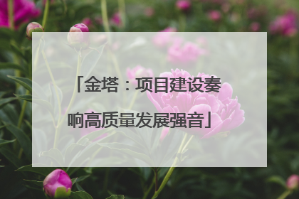 金塔：项目建设奏响高质量发展强音