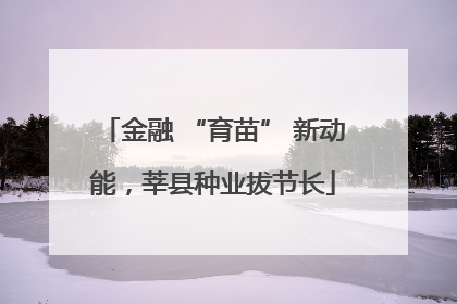 金融 “育苗” 新动能，莘县种业拔节长