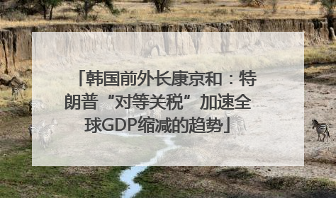 韩国前外长康京和：特朗普“对等关税”加速全球GDP缩减的趋势