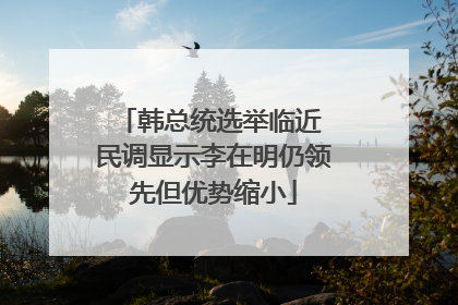 韩总统选举临近 民调显示李在明仍领先但优势缩小