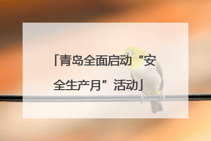 青岛全面启动“安全生产月”活动