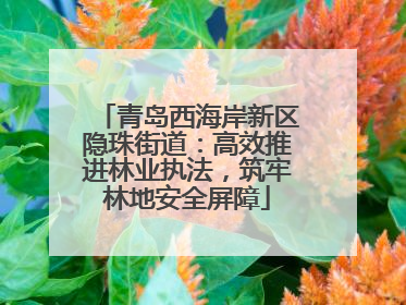 青岛西海岸新区隐珠街道：高效推进林业执法，筑牢林地安全屏障